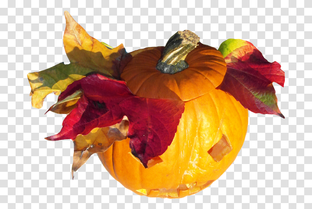 Pumpkin Gourd Harvest Thanksgiving Orange Autumn Autumn Gourds, Plant, Vegetable, Food, Produce Transparent Png