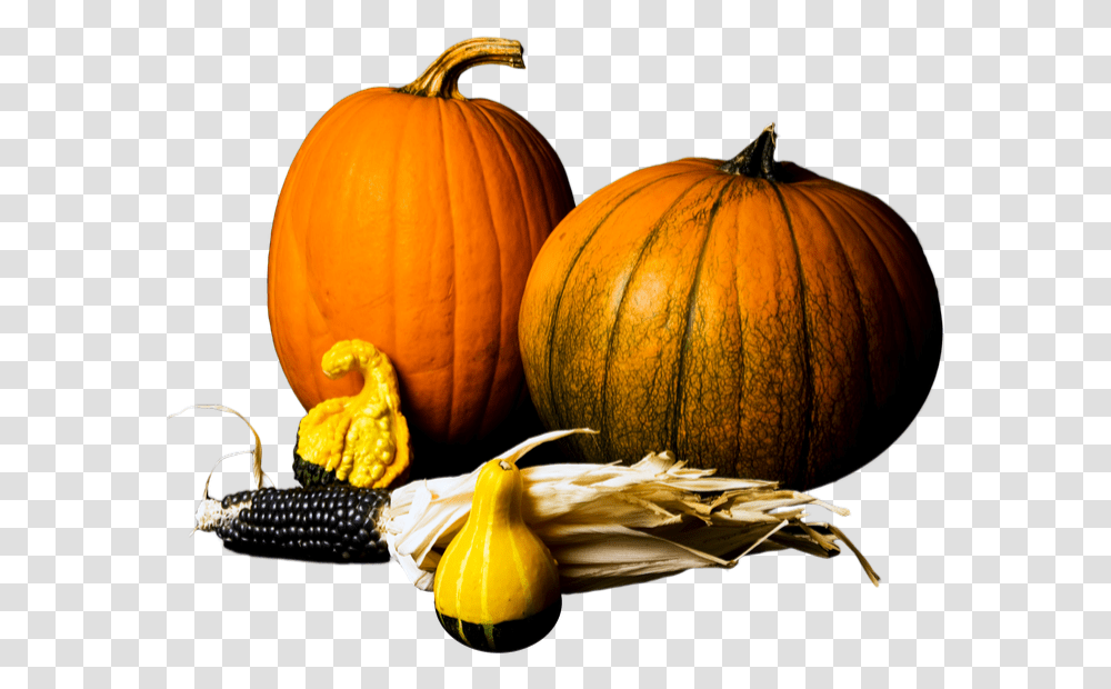 Pumpkin Gourds Stock Image Pumpkin, Plant, Vegetable, Food, Produce Transparent Png