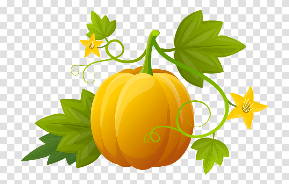 Pumpkin Illustration Plants Vegetable Leaves Hoja De Calabaza, Fruit, Food, Apricot, Produce Transparent Png