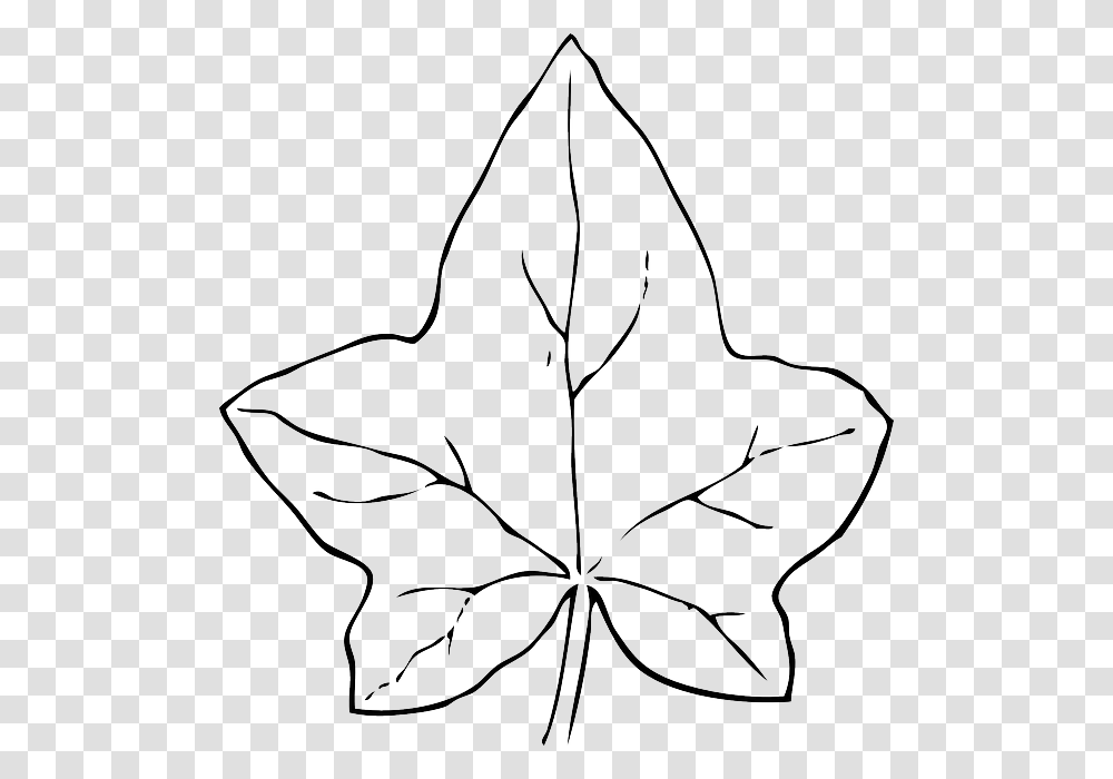 Pumpkin Leaves Clipart Group Royalty Free Download Fall Leaf Clipart Black And White, Plant, Tree, Maple Leaf Transparent Png