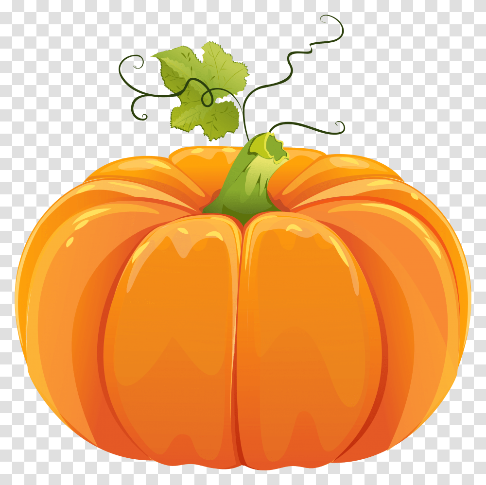 Pumpkin Library Files Autumn Pumpkin, Vegetable, Plant, Food, Nature Transparent Png