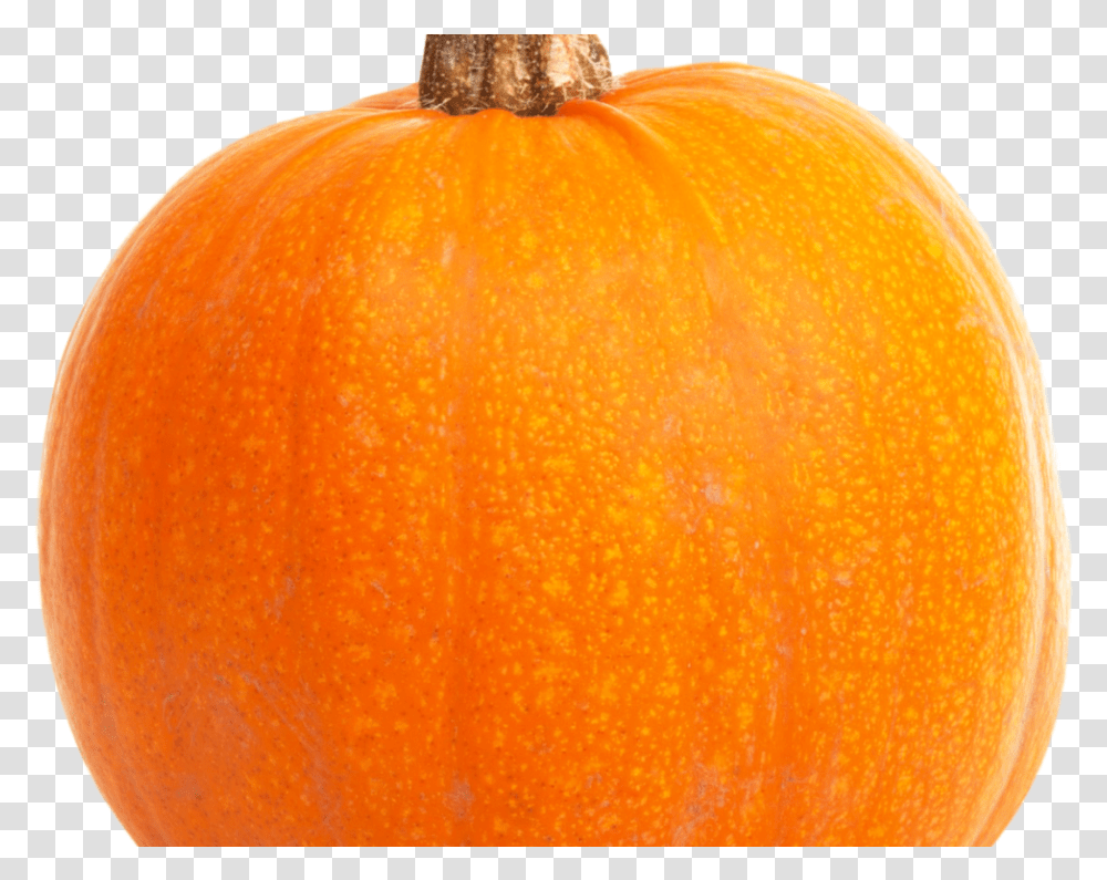 Pumpkin, Orange, Citrus Fruit, Plant, Food Transparent Png