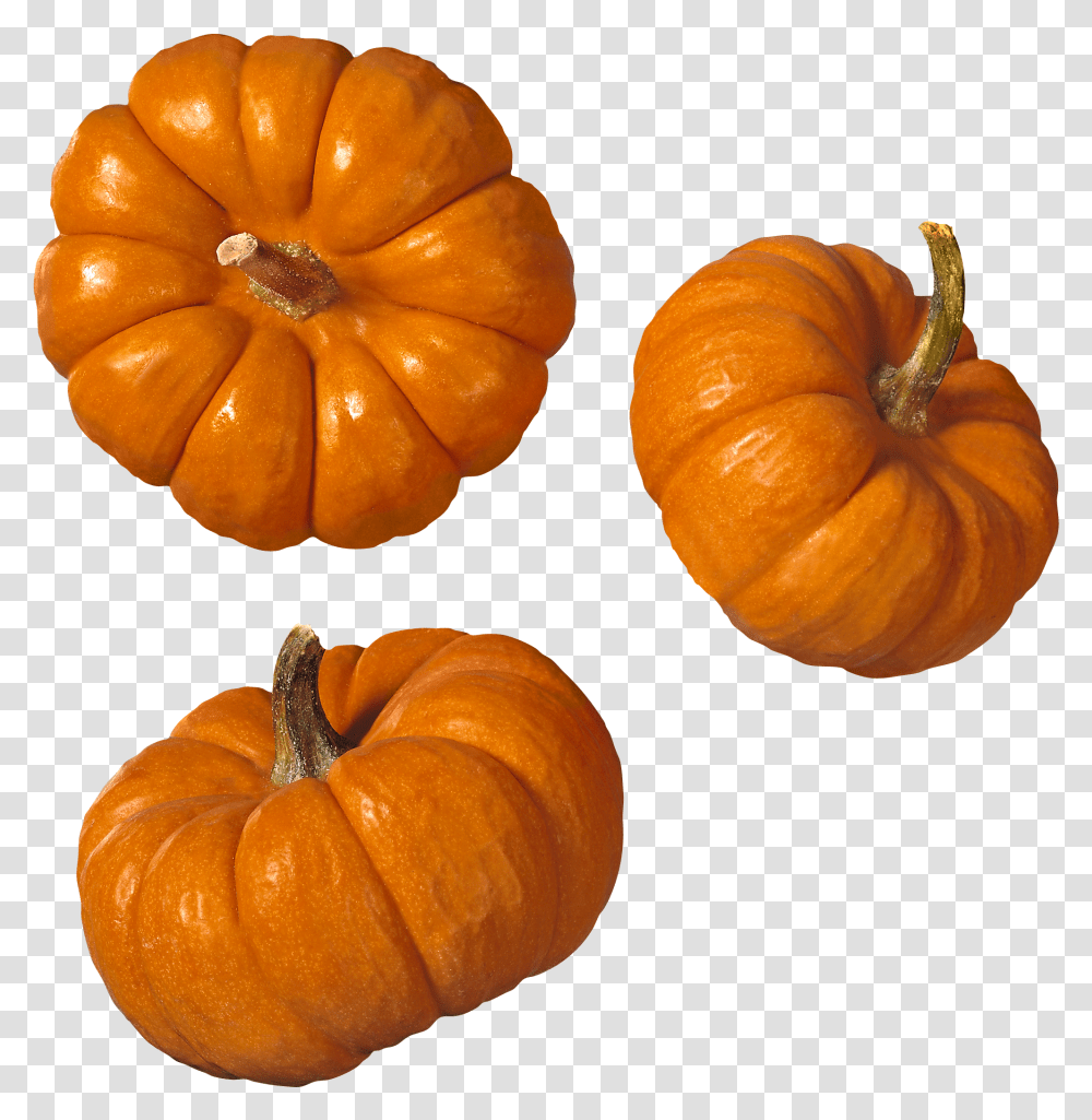 Pumpkin Picture Free Images Pumpkin Transparent Png