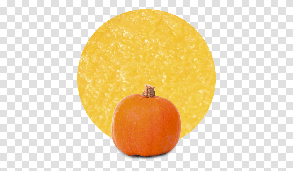 Pumpkin, Plant, Orange, Citrus Fruit, Food Transparent Png