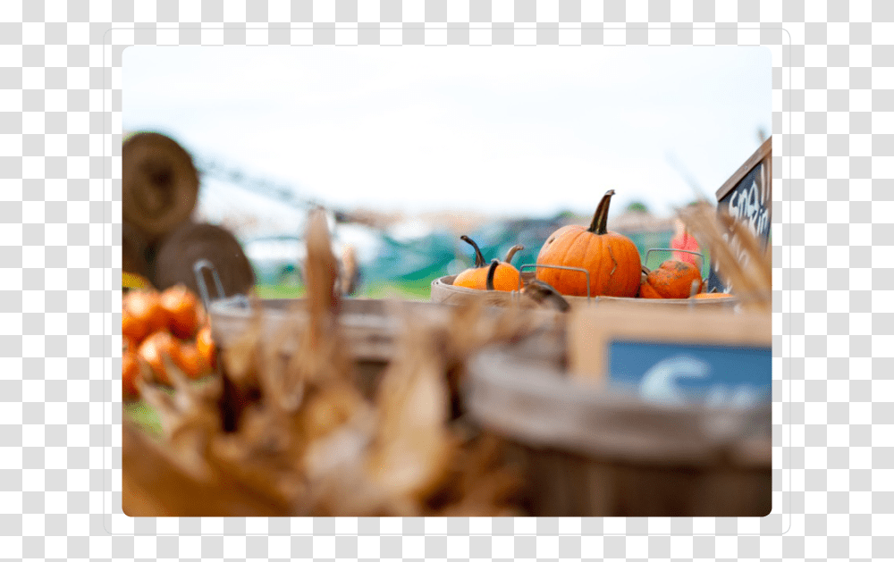 Pumpkin, Plant, Produce, Food, Vegetable Transparent Png