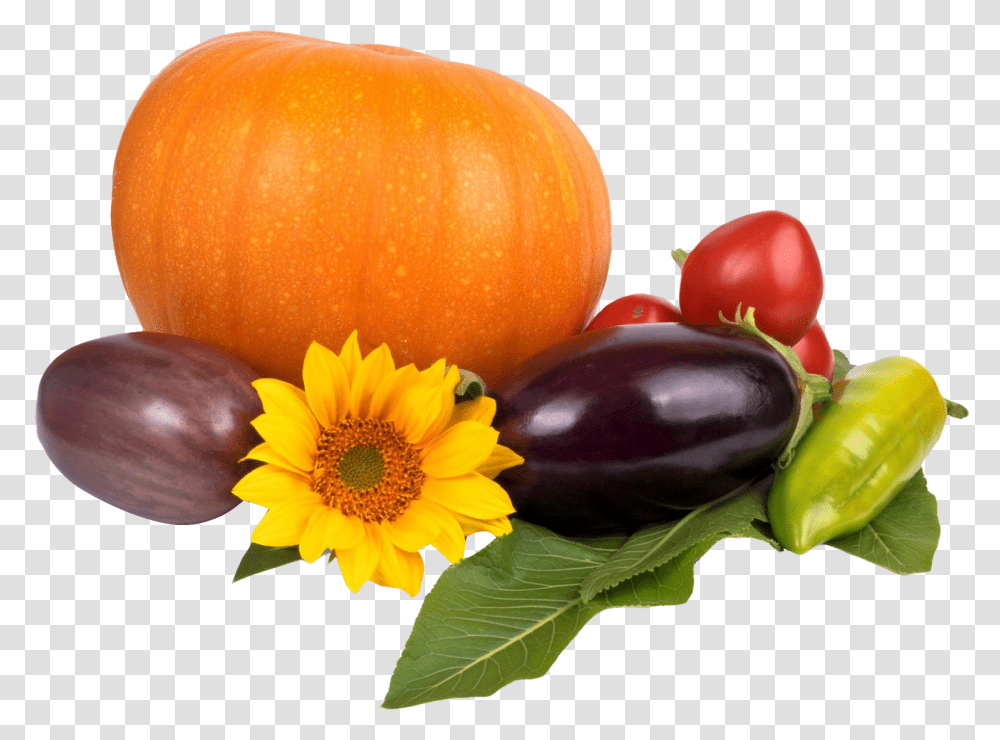 Pumpkin, Plant, Vegetable, Food, Orange Transparent Png