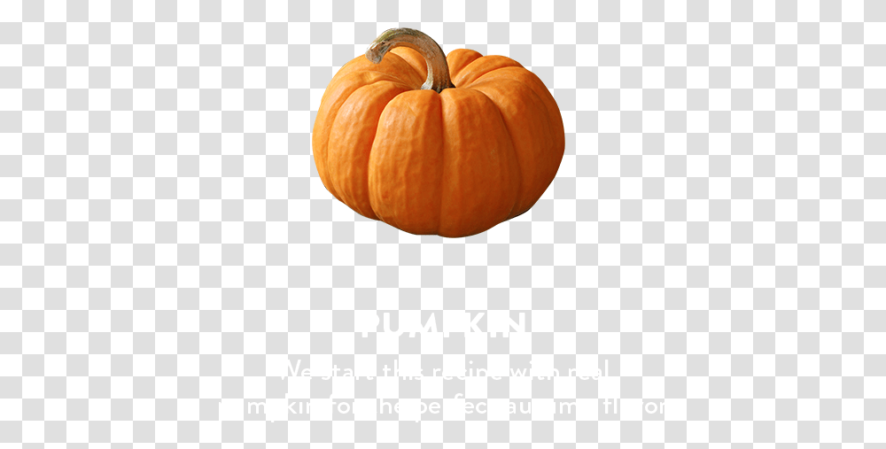 Pumpkin, Plant, Vegetable, Food, Produce Transparent Png