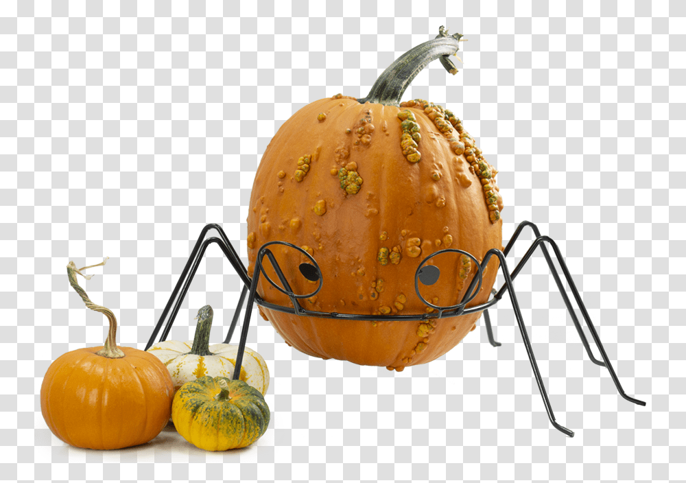 Pumpkin, Plant, Vegetable, Food, Produce Transparent Png