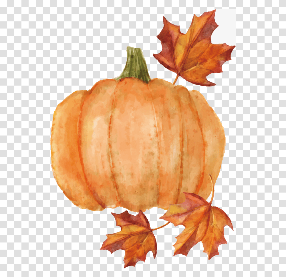 Pumpkin, Plant, Vegetable, Food, Produce Transparent Png