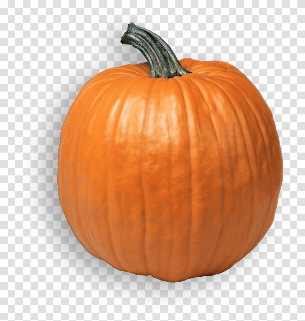 Pumpkin, Plant, Vegetable, Food, Produce Transparent Png