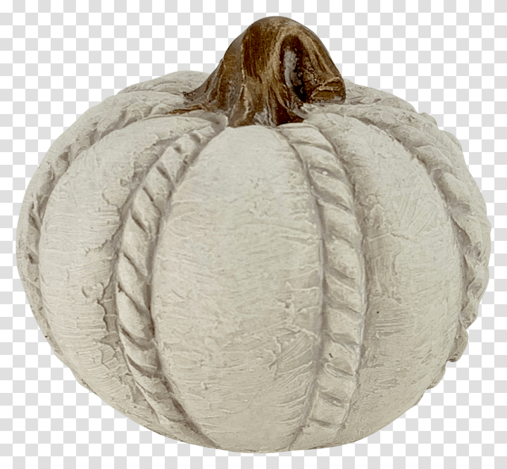 Pumpkin, Plant, Vegetable, Food, Produce Transparent Png