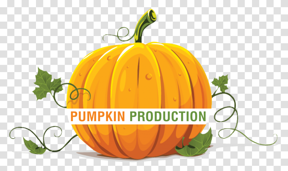 Pumpkin Production Freeuse Download Halloween Pumpkin, Vegetable, Plant, Food, Squash Transparent Png