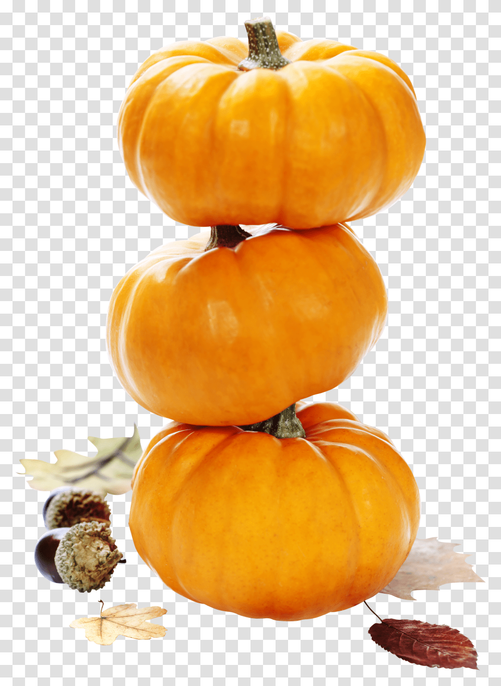 Pumpkin Pumpkin Transparent Png