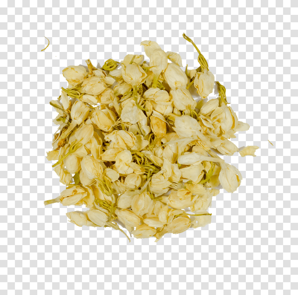 Pumpkin Seed, Plant, Flower, Blossom, Food Transparent Png