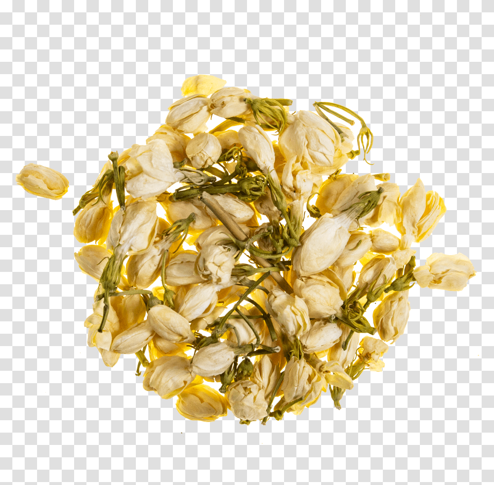 Pumpkin Seed Transparent Png