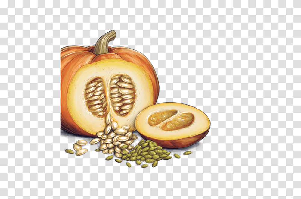 Pumpkin Seeds, Plant, Food, Produce, Vegetable Transparent Png