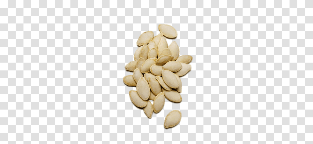 Pumpkin Seeds, Plant, Vegetable, Food, Nut Transparent Png