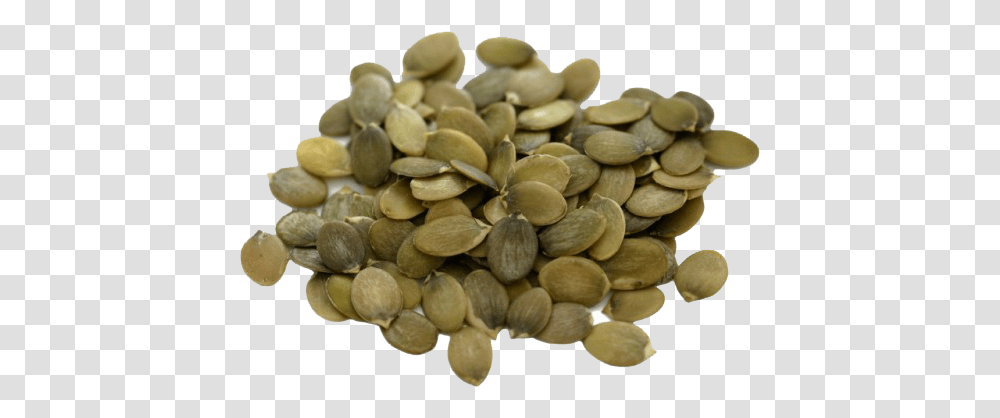 Pumpkin Seeds, Plant, Vegetable, Food, Produce Transparent Png