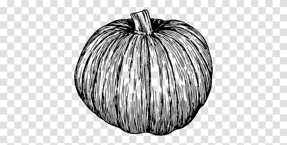 Pumpkin Silhouette Vector Clip Art Pumpkin Illustration Black And White, Gray, World Of Warcraft Transparent Png