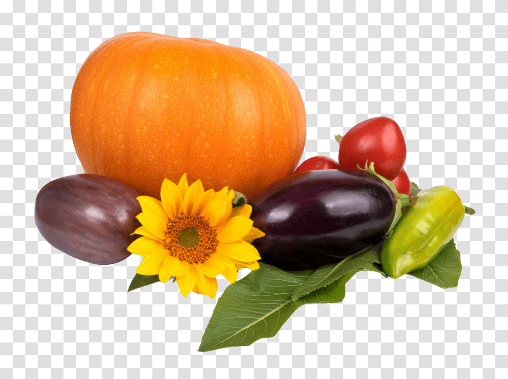 Pumpkin Tomato Pepper Eggplant Image, Vegetable, Food, Orange, Citrus Fruit Transparent Png