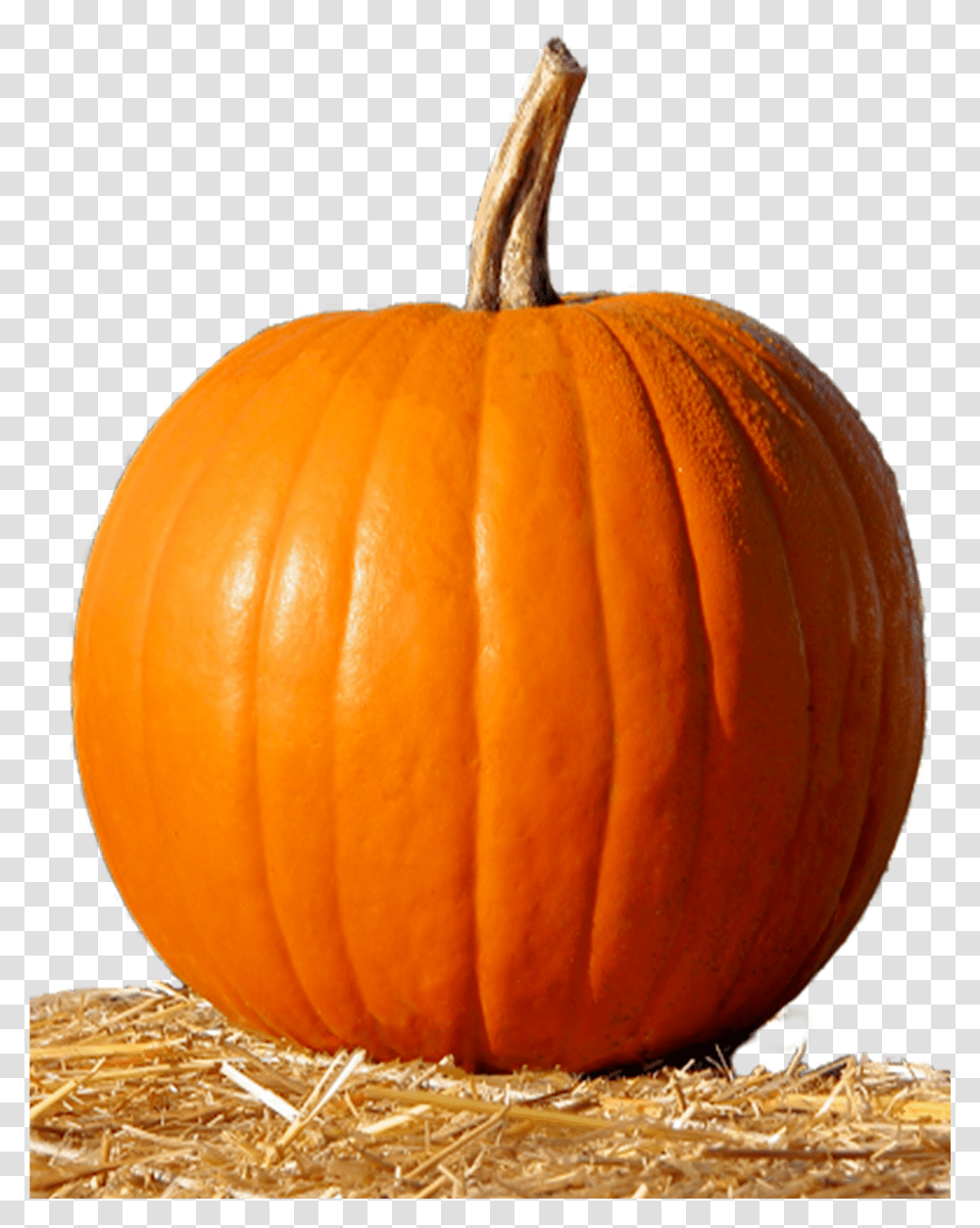 Pumpkin Transparent Png