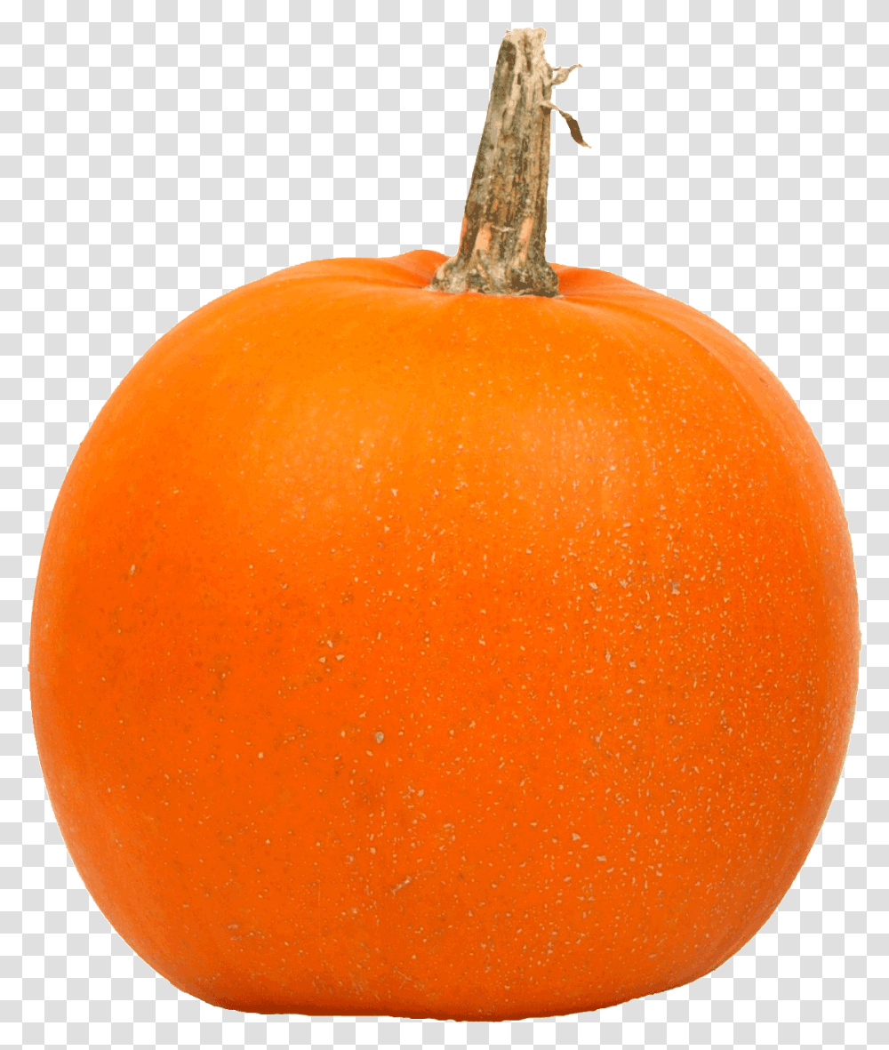 Pumpkin, Vegetable, Orange, Citrus Fruit, Plant Transparent Png