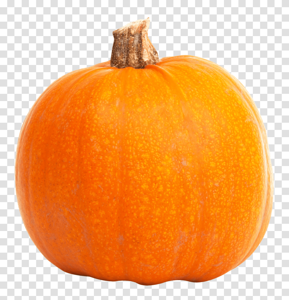 Pumpkin, Vegetable, Orange, Citrus Fruit, Plant Transparent Png