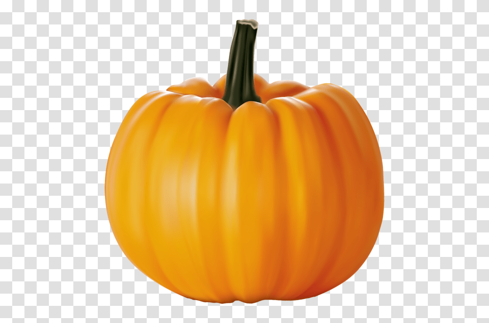 Pumpkin, Vegetable, Plant, Food, Balloon Transparent Png