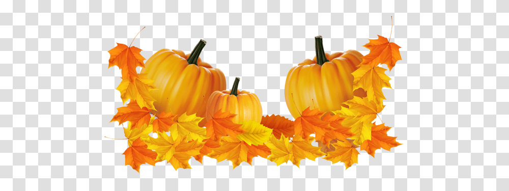 Pumpkin, Vegetable, Plant, Food, Halloween Transparent Png