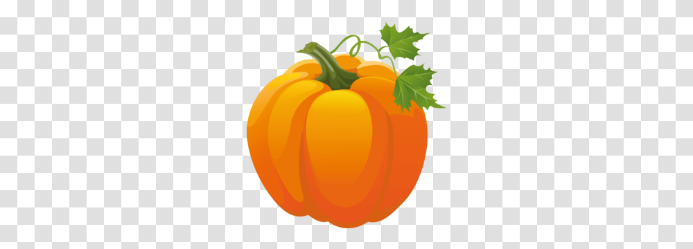 Pumpkin, Vegetable, Plant, Food, Pepper Transparent Png