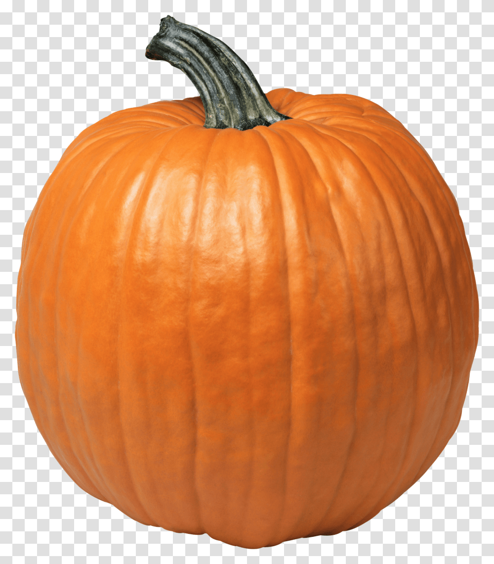 Pumpkin, Vegetable, Plant, Food, Produce Transparent Png