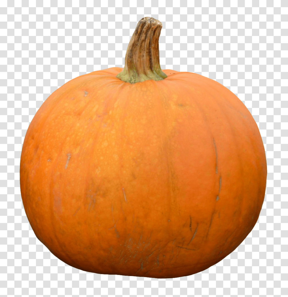 Pumpkin, Vegetable, Plant, Food, Produce Transparent Png