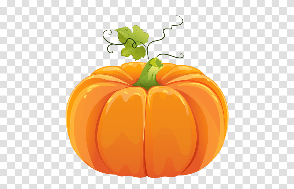 Pumpkin, Vegetable, Plant, Food, Produce Transparent Png