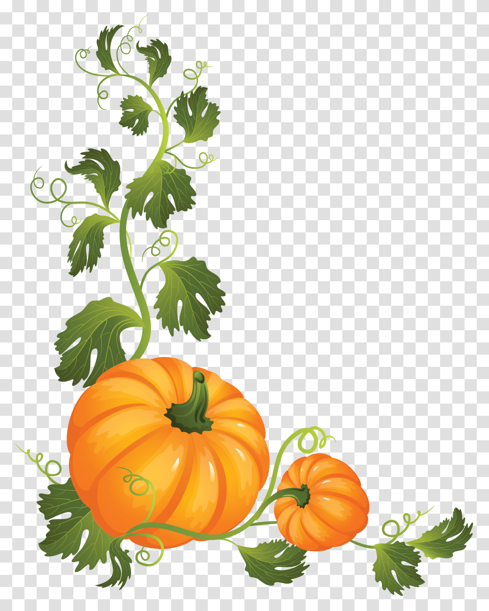 Pumpkin, Vegetable, Plant, Food, Produce Transparent Png