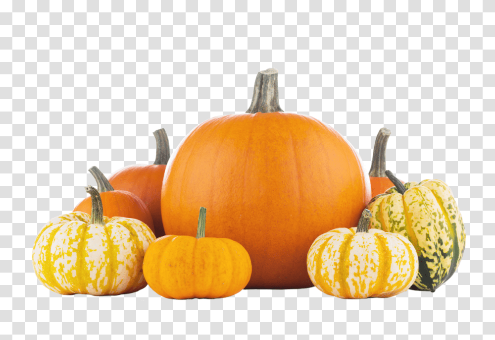 Pumpkin, Vegetable, Plant, Food, Produce Transparent Png