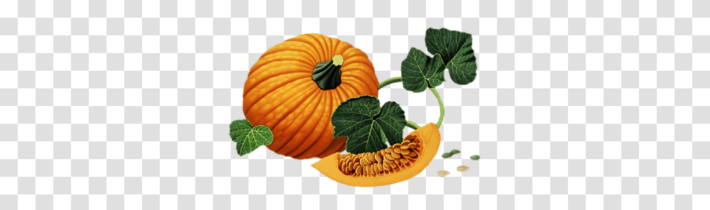 Pumpkin, Vegetable, Plant, Food, Squash Transparent Png