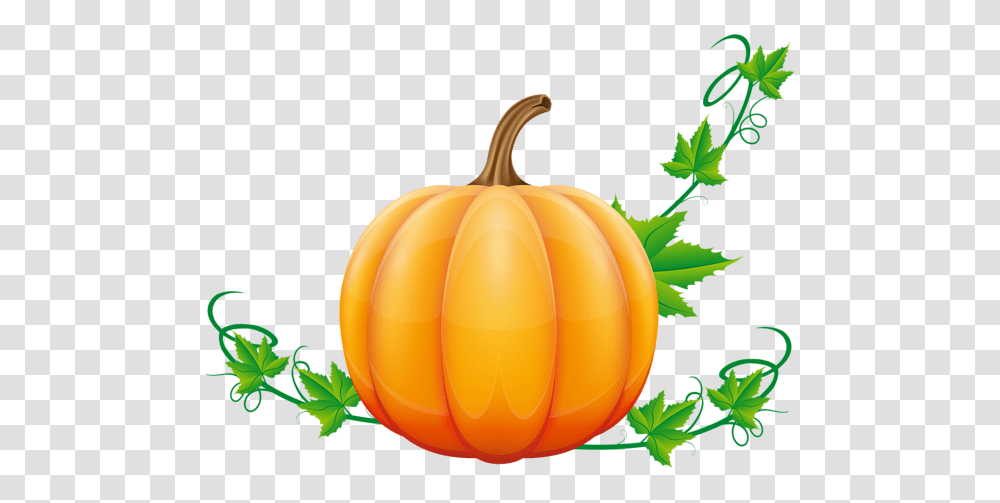 Pumpkin, Vegetable, Plant, Food, Vegetation Transparent Png