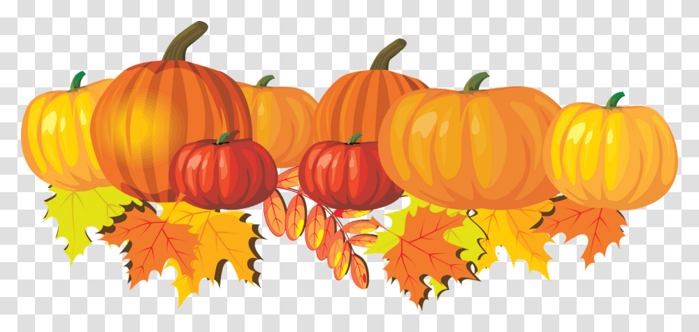 Pumpkin, Vegetable, Plant, Leaf, Food Transparent Png