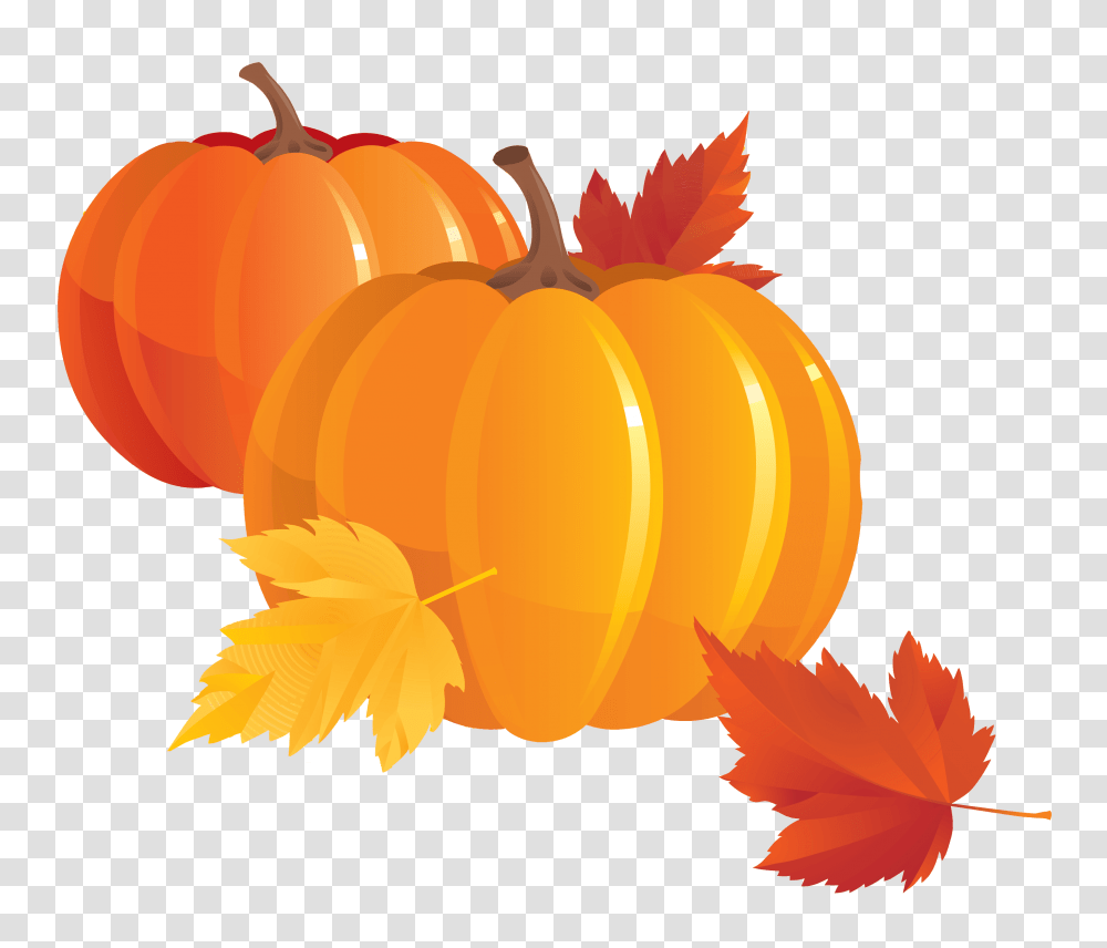 Pumpkin, Vegetable, Plant, Leaf, Food Transparent Png