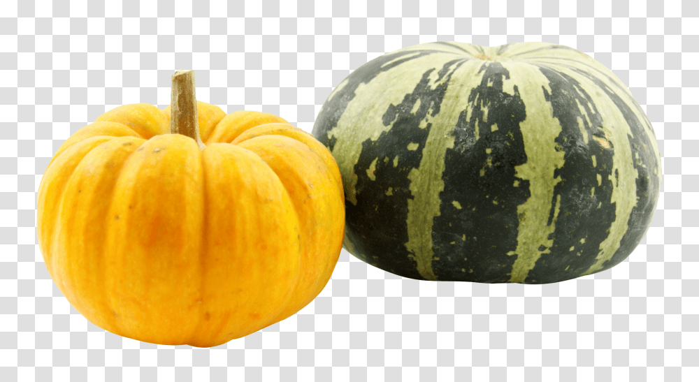 Pumpkin, Vegetable, Plant, Orange, Citrus Fruit Transparent Png