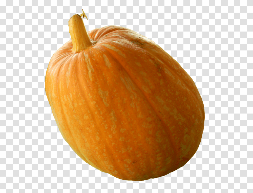 Pumpkin, Vegetable, Plant, Orange, Citrus Fruit Transparent Png