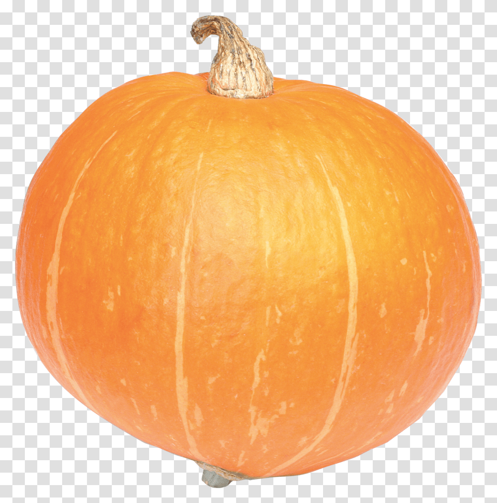 Pumpkin, Vegetable, Plant, Orange, Citrus Fruit Transparent Png