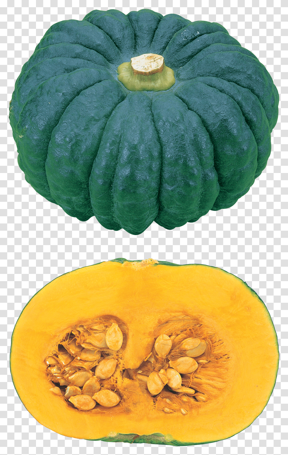 Pumpkin, Vegetable Transparent Png