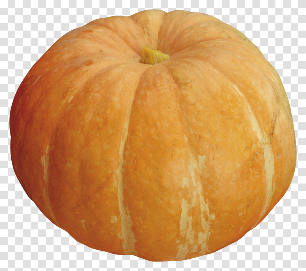 Pumpkin, Vegetable Transparent Png