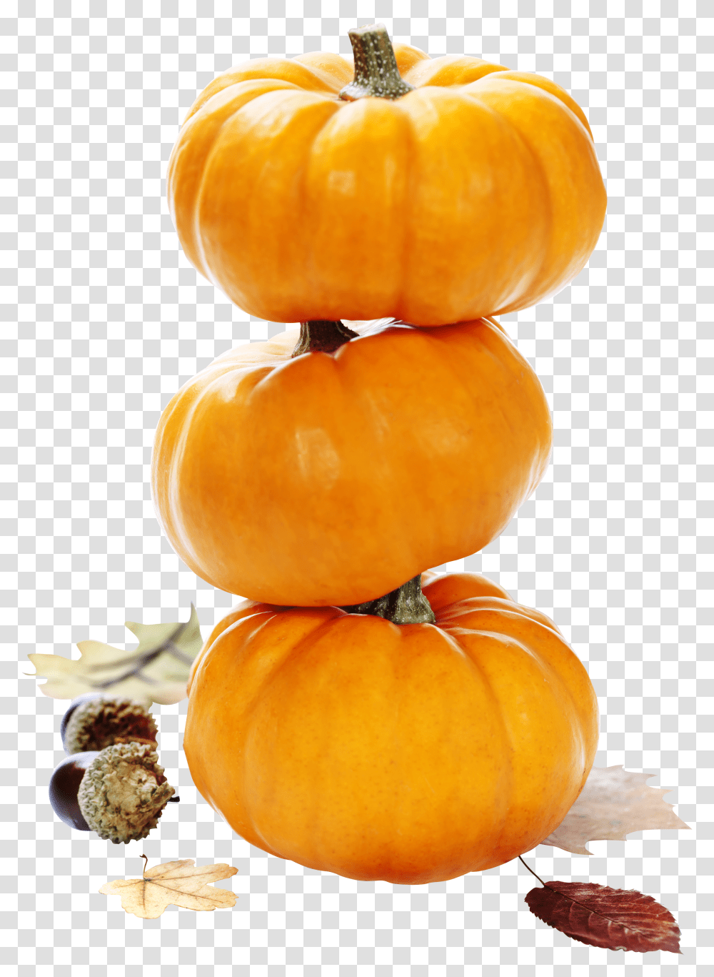 Pumpkin, Vegetable Transparent Png