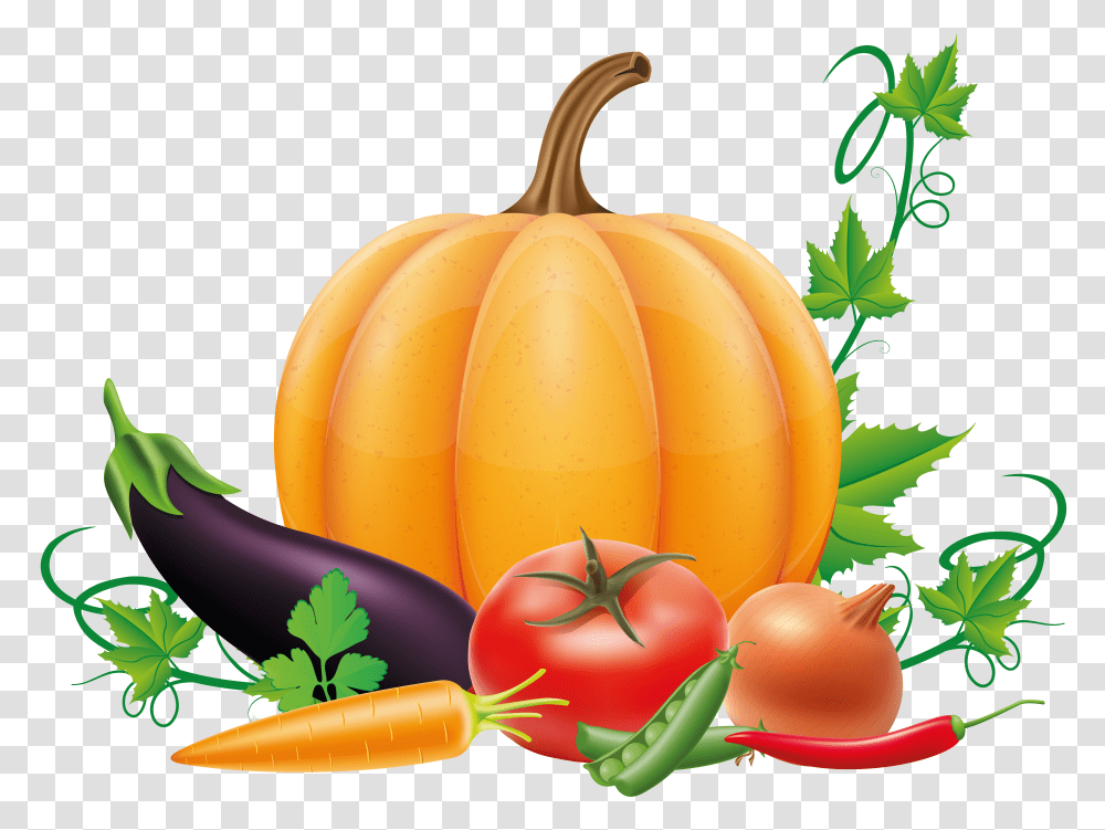 Pumpkin, Vegetable Transparent Png