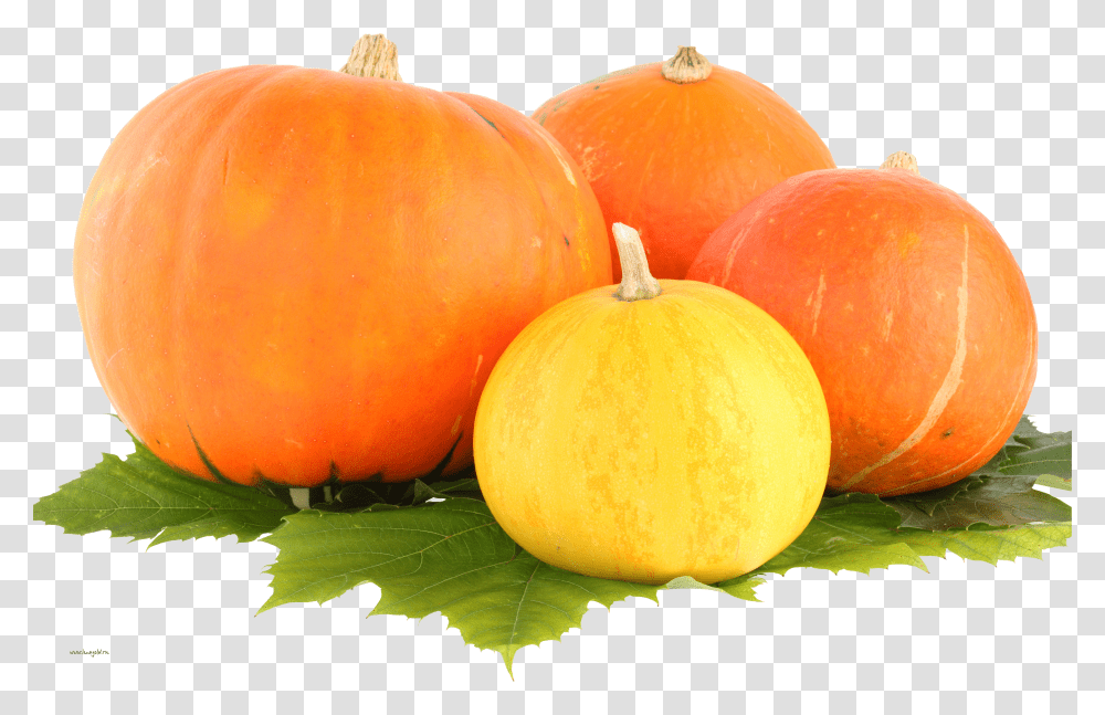 Pumpkin, Vegetable Transparent Png