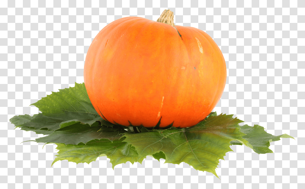 Pumpkin, Vegetable Transparent Png