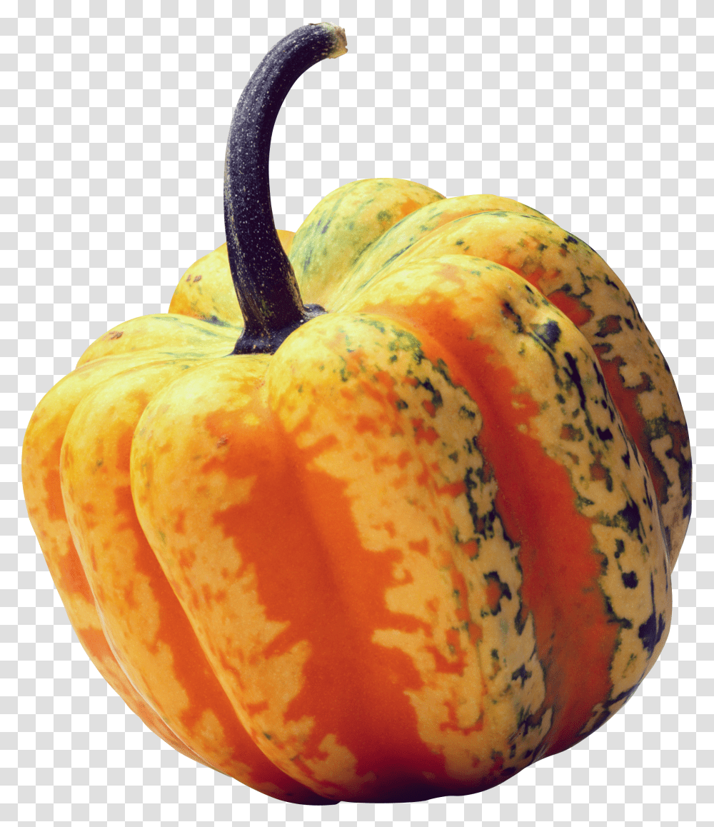 Pumpkin, Vegetable Transparent Png