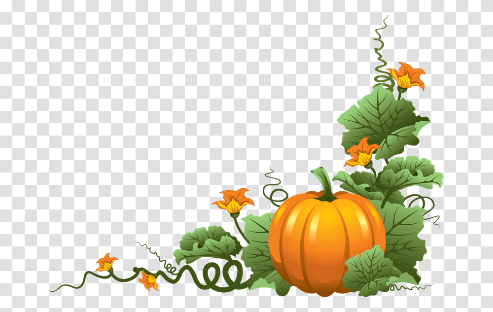 Pumpkin Vine Clipart Download Fall Pumpkins, Plant, Leaf, Vegetable, Food Transparent Png